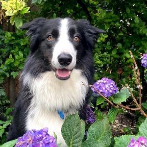 Meet your Posher, Maggie